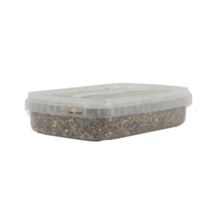 Buy Sterile Magic Mushroom substrate kit for Psilocybe Cubensis Medium