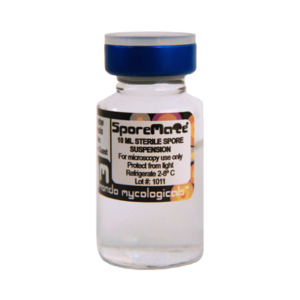 Buy Orissa India psilocybe cubensis spore vial